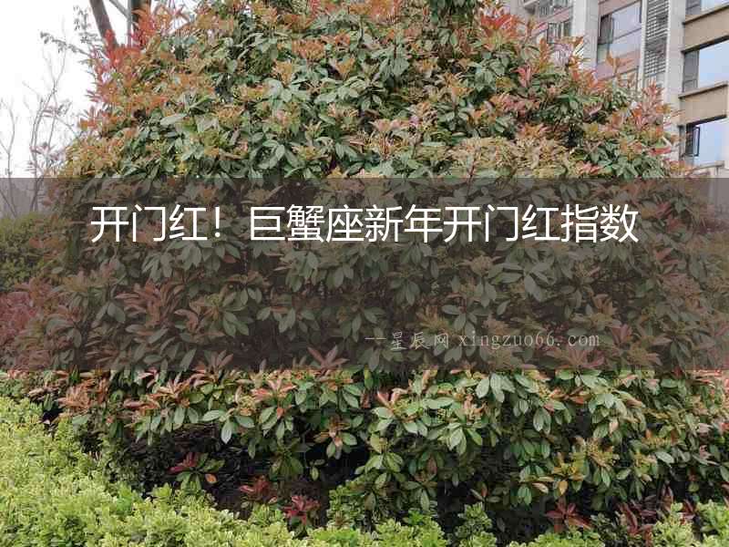 開門紅！巨蟹座新年開門紅指數
