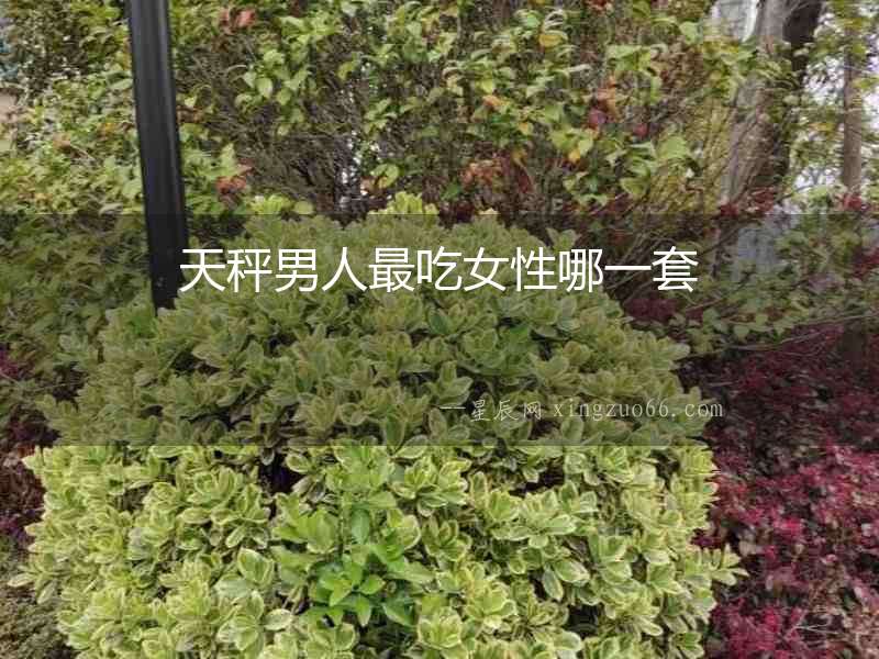 天秤男人最吃女性哪一套