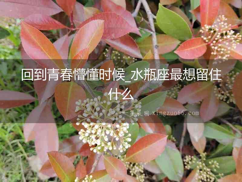 回到青春懵懂時候_水瓶座最想留住什么