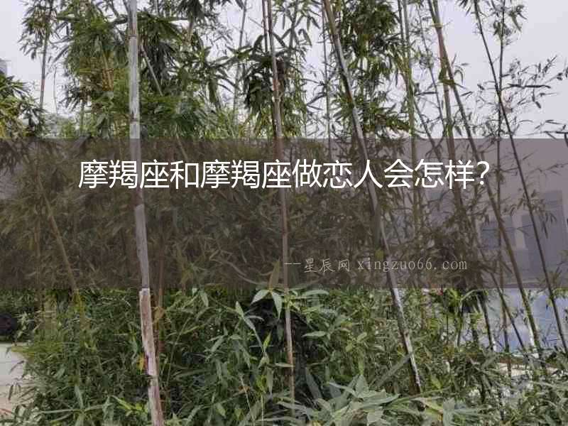 摩羯座和摩羯座做戀人會(huì)怎樣？