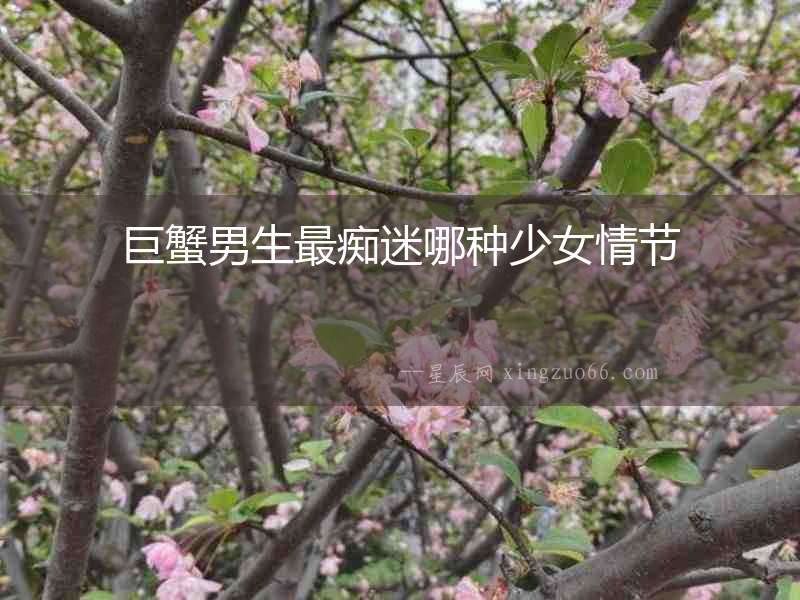 巨蟹男生最癡迷哪種少女情節(jié)