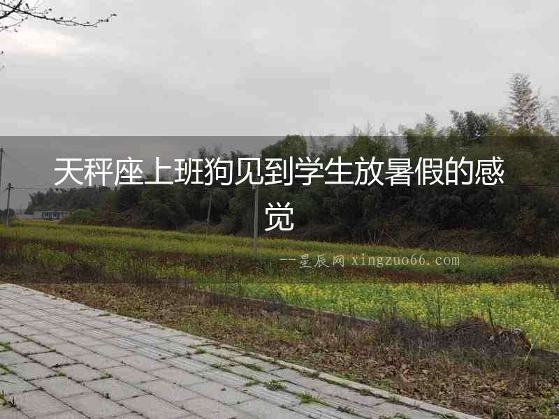 天秤座上班狗見到學生放暑假的感覺