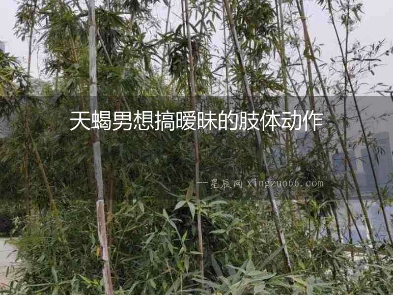 天蝎男想搞曖昧的肢體動作