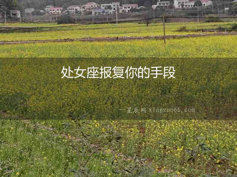 處女座報復(fù)你的手段