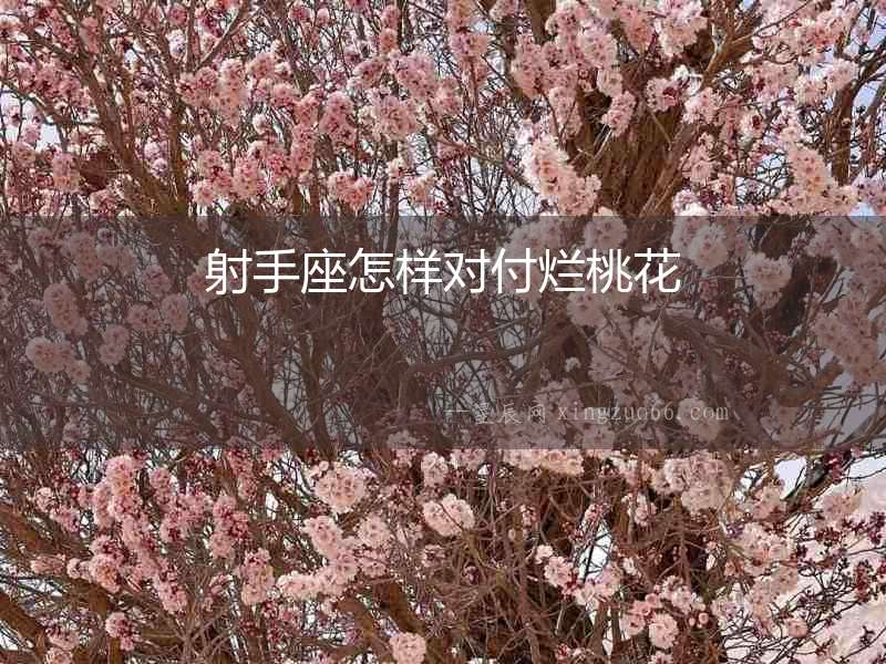 射手座怎樣對(duì)付爛桃花