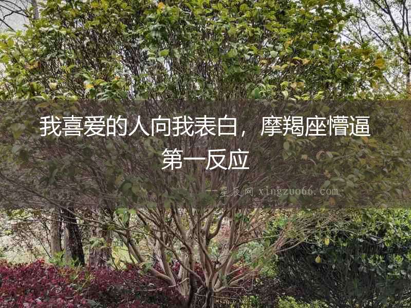 我喜愛的人向我表白，摩羯座懵逼第一反應