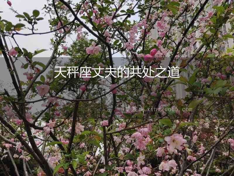 天秤座丈夫的共處之道