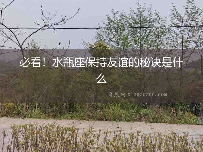 必看！水瓶座保持友誼的秘訣是什么