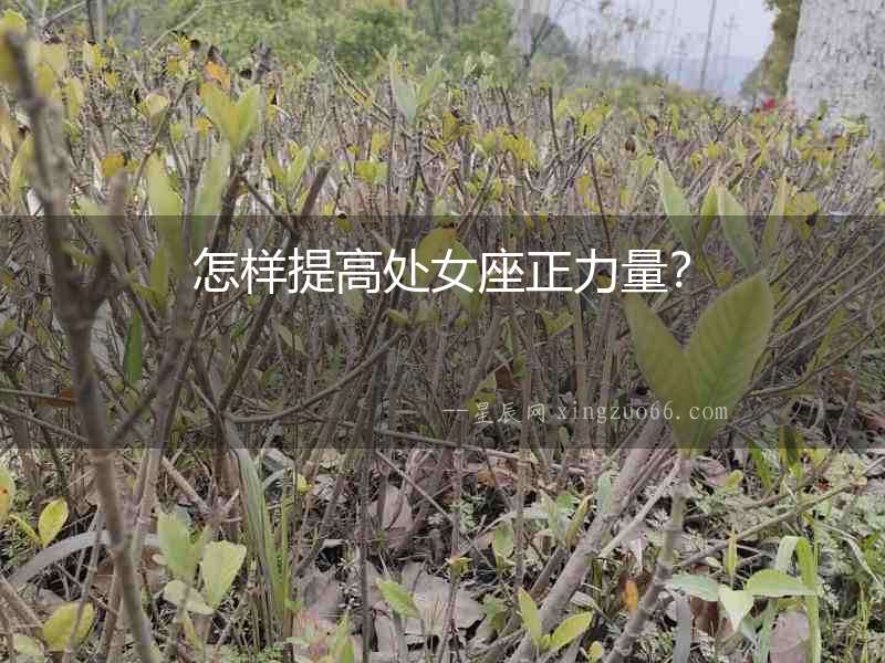怎樣提高處女座正力量？