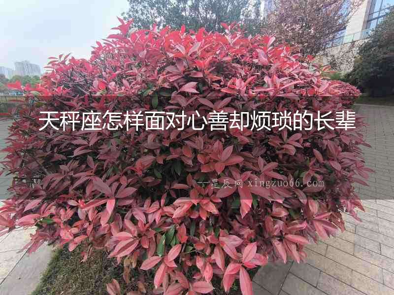 天秤座怎樣面對心善卻煩瑣的長輩