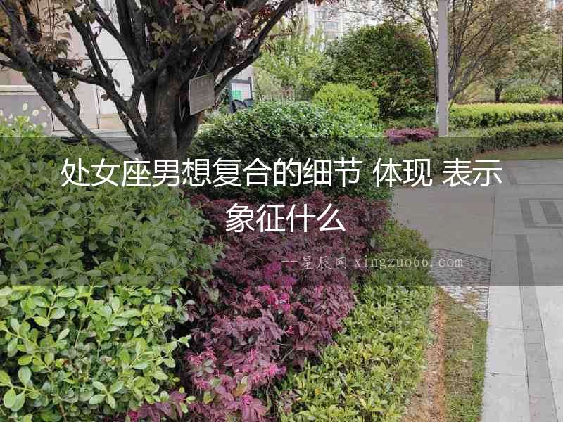 處女座男想復合的細節 體現 表示 象征什么