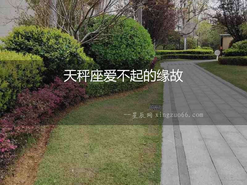 天秤座愛不起的緣故
