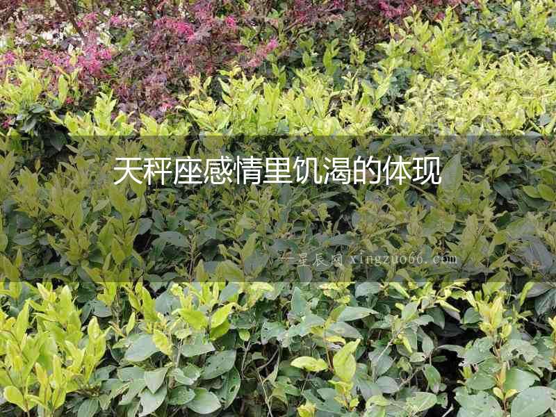 天秤座感情里饑渴的體現