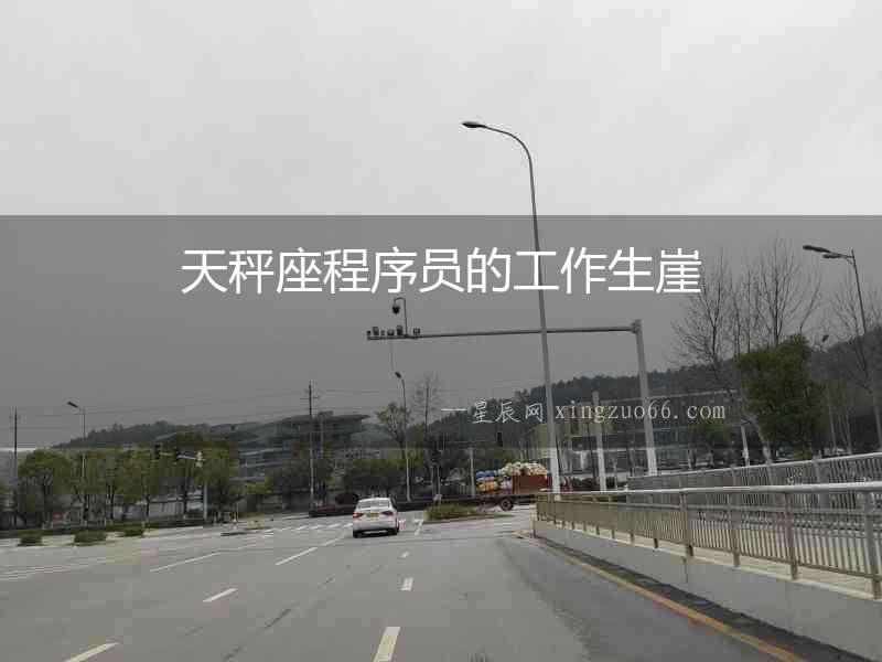 天秤座程序員的工作生崖