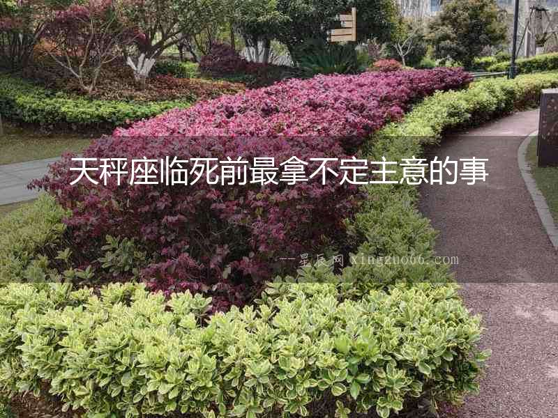 天秤座臨死前最拿不定主意的事