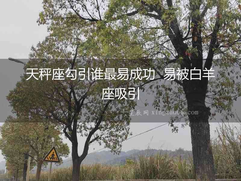 天秤座勾引誰最易成功  易被白羊座吸引