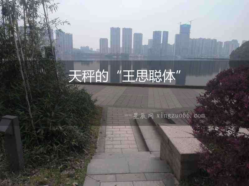 天秤的“王思聰體”