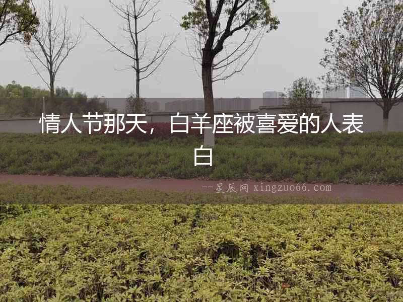 情人節那天，白羊座被喜愛的人表白