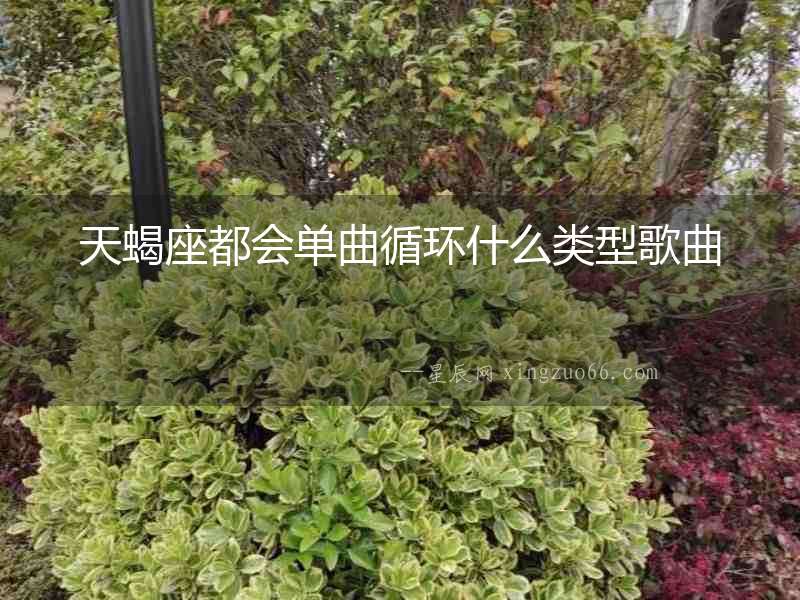 天蝎座都會單曲循環(huán)什么類型歌曲