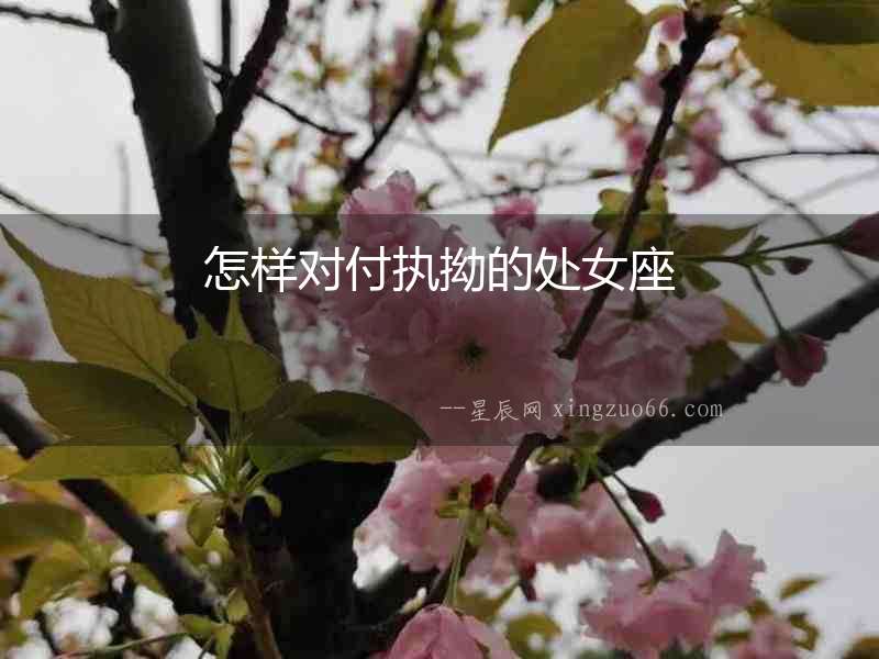 怎樣對付執(zhí)拗的處女座