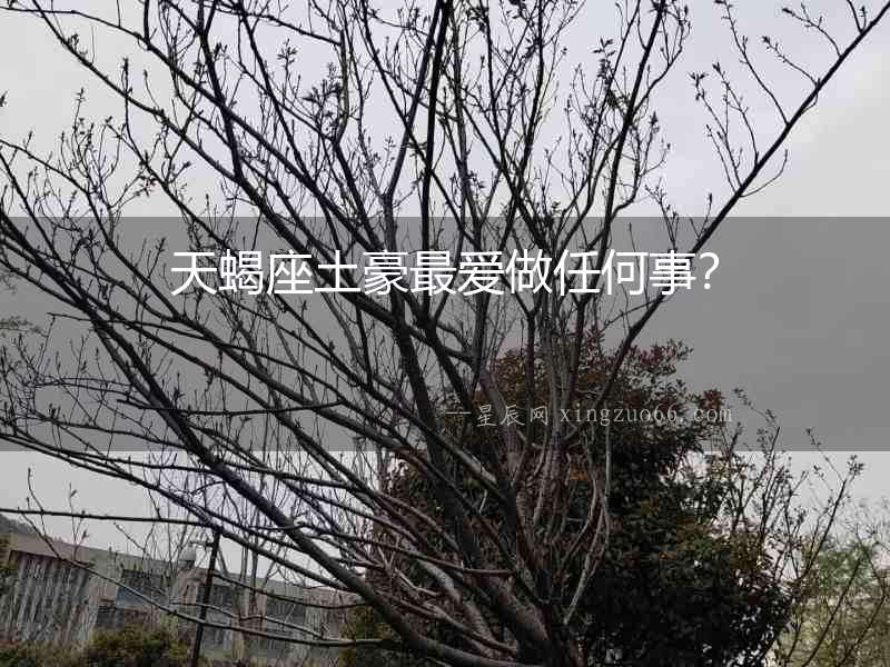 天蝎座土豪最愛(ài)做任何事？