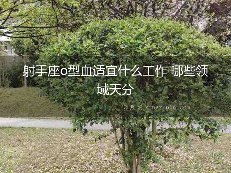 射手座o型血適宜什么工作 哪些領(lǐng)域天分