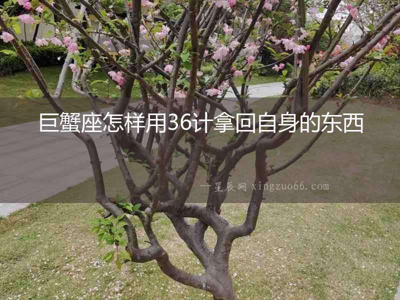 巨蟹座怎樣用36計(jì)拿回自身的東西