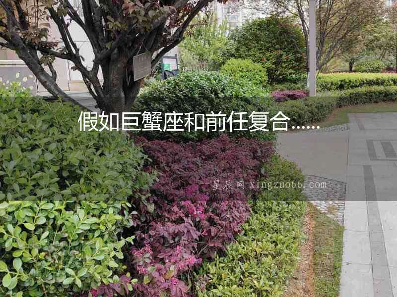 假如巨蟹座和前任復合......