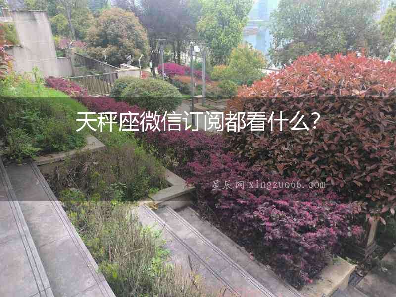 天秤座微信訂閱都看什么？