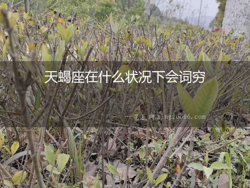 天蝎座在什么狀況下會(huì)詞窮