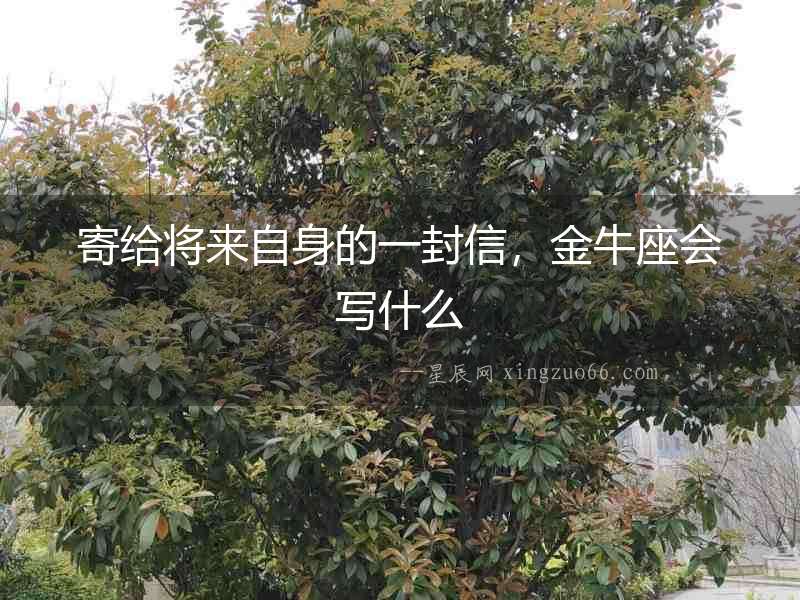 寄給將來自身的一封信，金牛座會(huì)寫什么