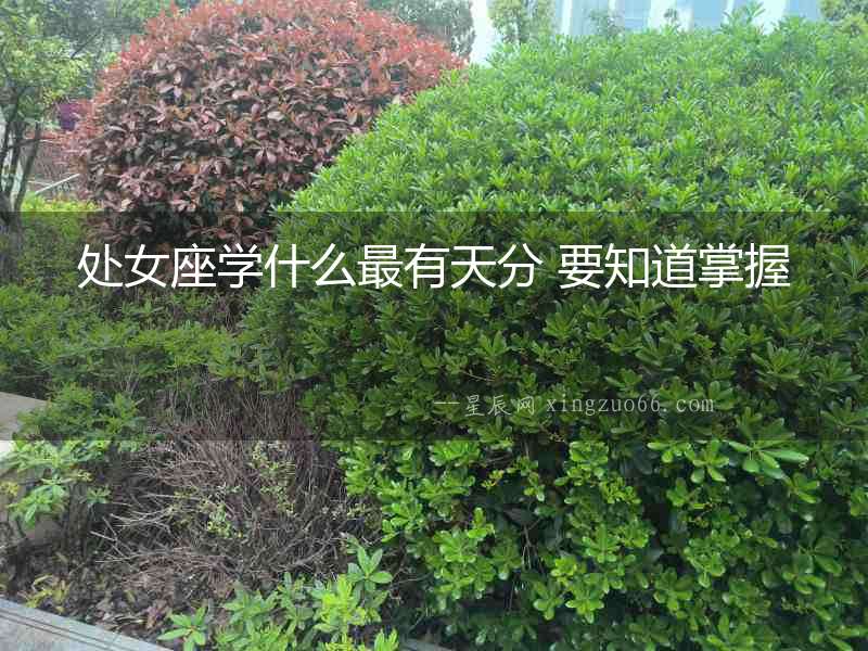 處女座學什么最有天分 要知道掌握