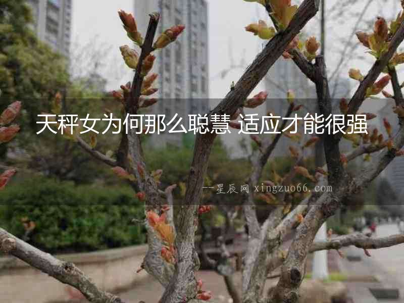 天秤女為何那么聰慧 適應才能很強