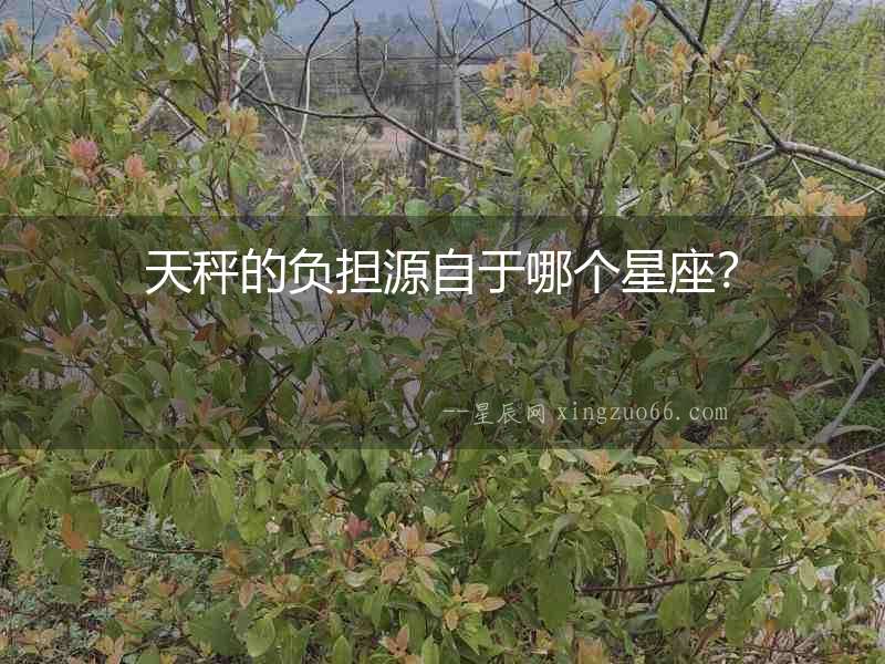 天秤的負擔源自于哪個星座？