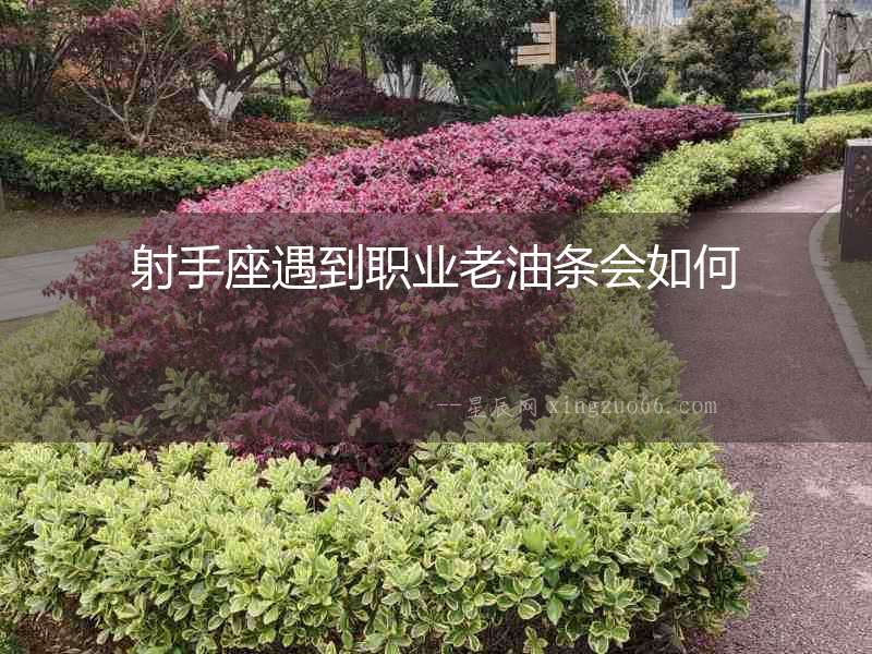 射手座遇到職業老油條會如何