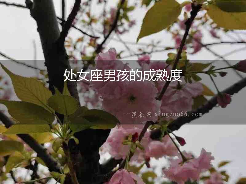處女座男孩的成熟度