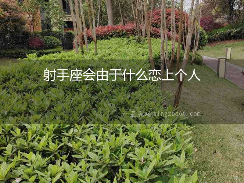 射手座會由于什么戀上個人