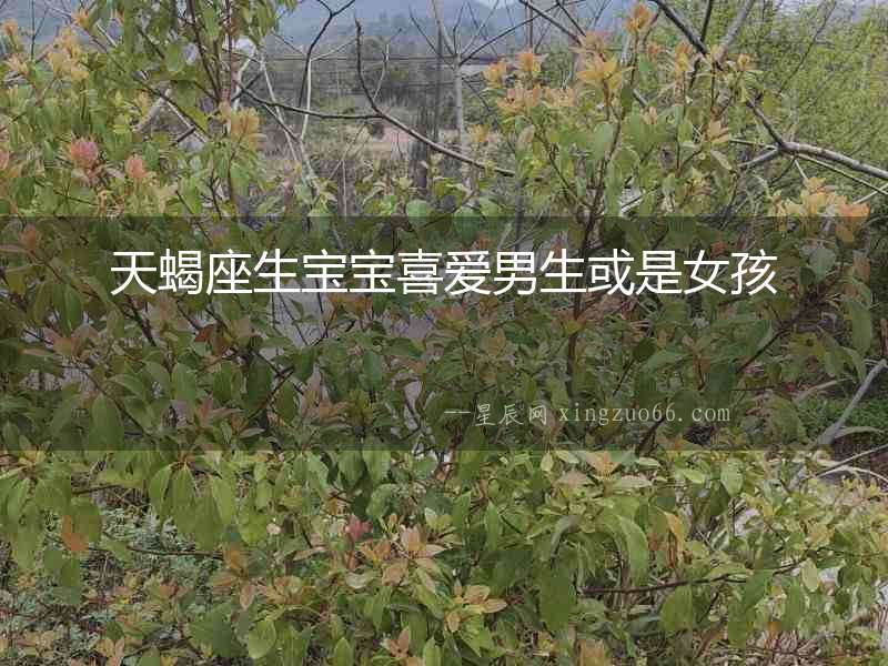 天蝎座生寶寶喜愛(ài)男生或是女孩