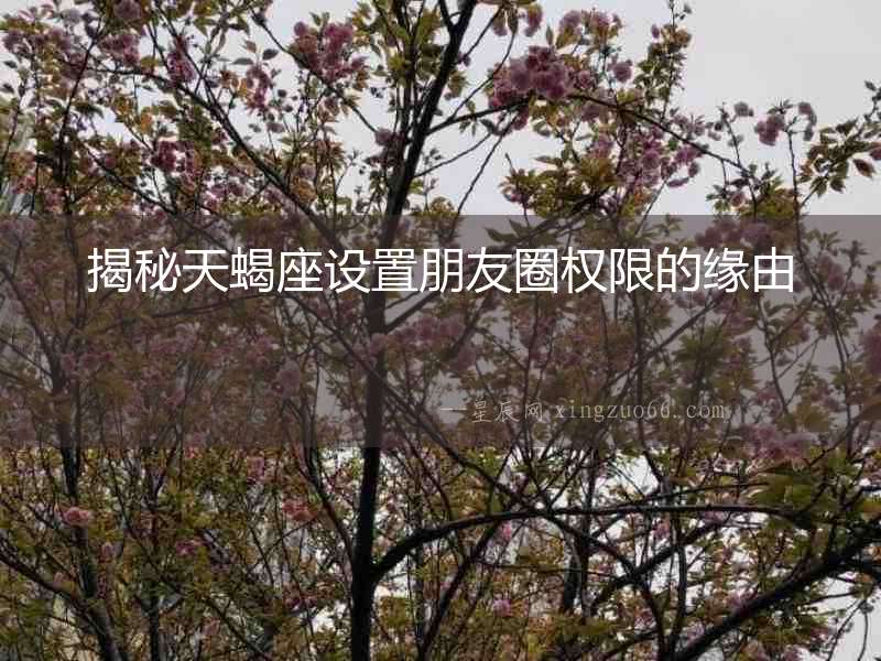 揭秘天蝎座設(shè)置朋友圈權(quán)限的緣由