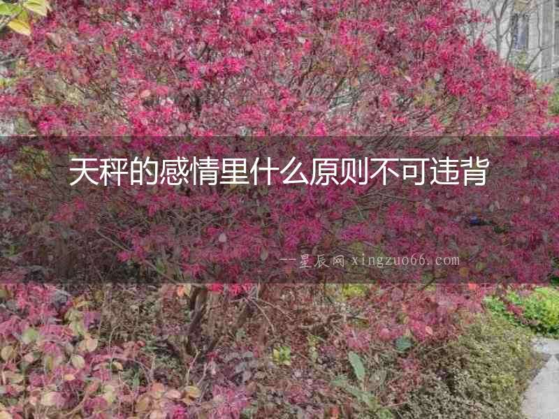 天秤的感情里什么原則不可違背