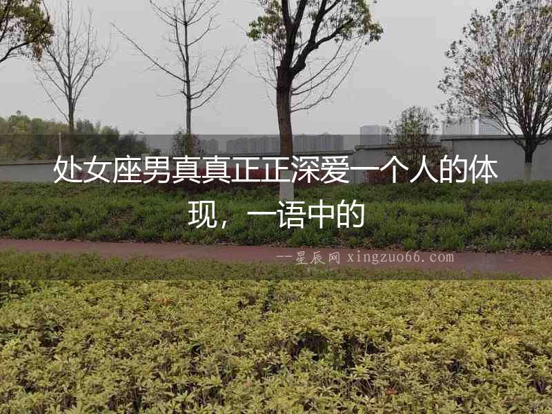 處女座男真真正正深愛一個人的體現(xiàn)，一語中的