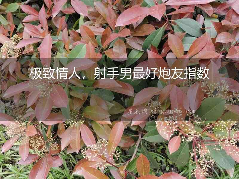 極致情人，射手男最好炮友指數