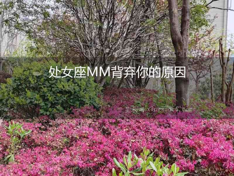 處女座MM背棄你的原因