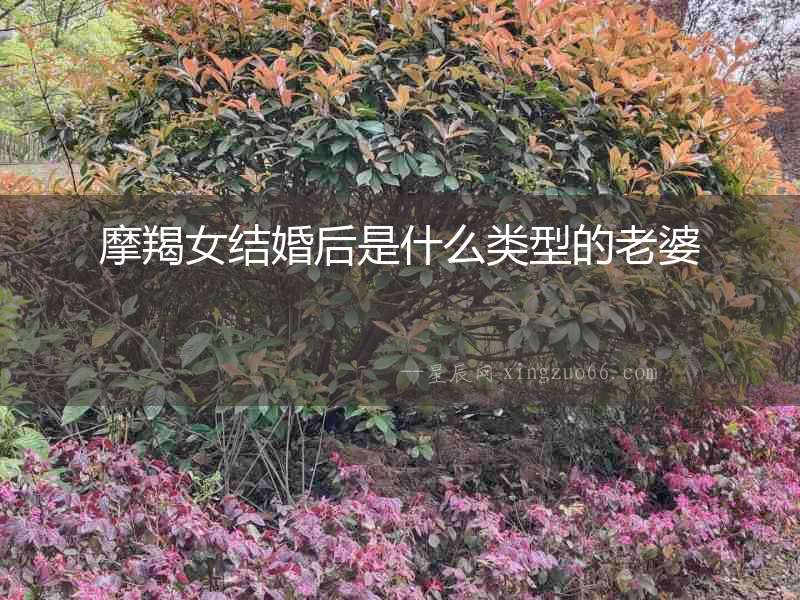 摩羯女結(jié)婚后是什么類型的老婆
