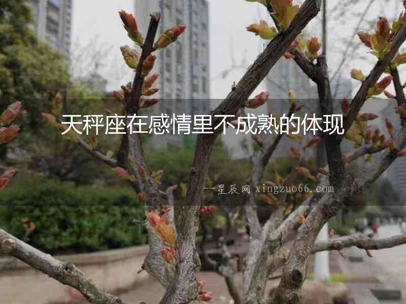 天秤座在感情里不成熟的體現