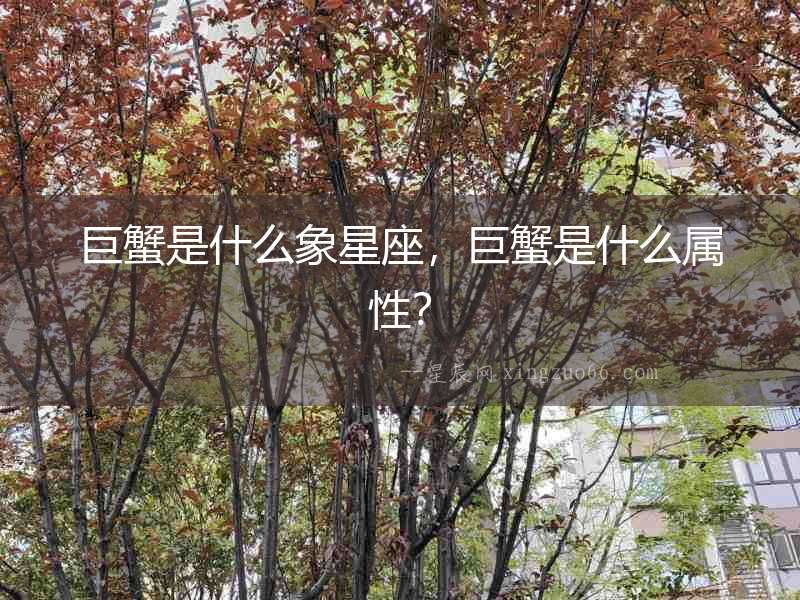 巨蟹是什么象星座，巨蟹是什么屬性？