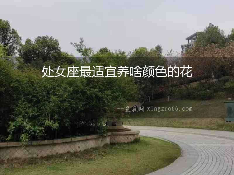 處女座最適宜養(yǎng)啥顏色的花