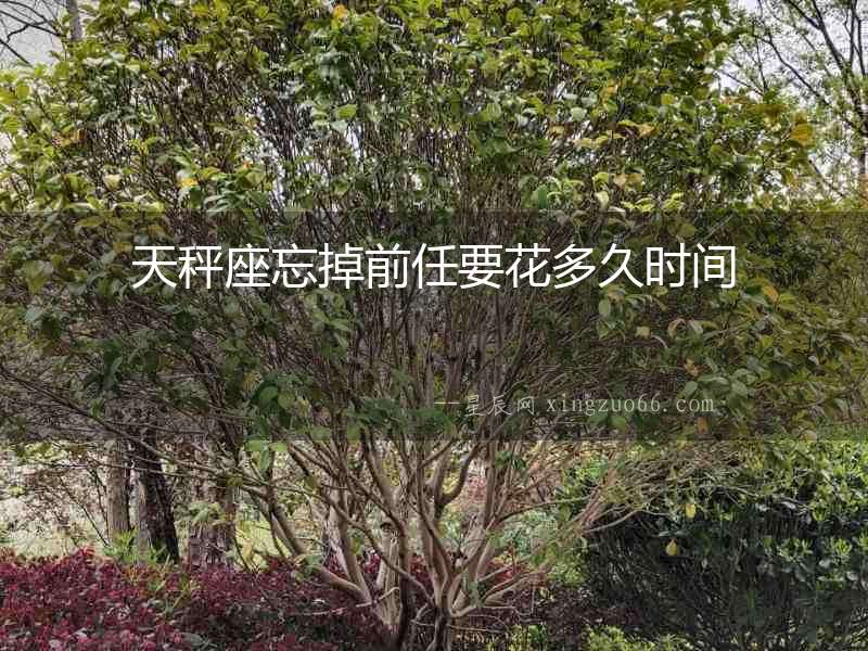 天秤座忘掉前任要花多久時間