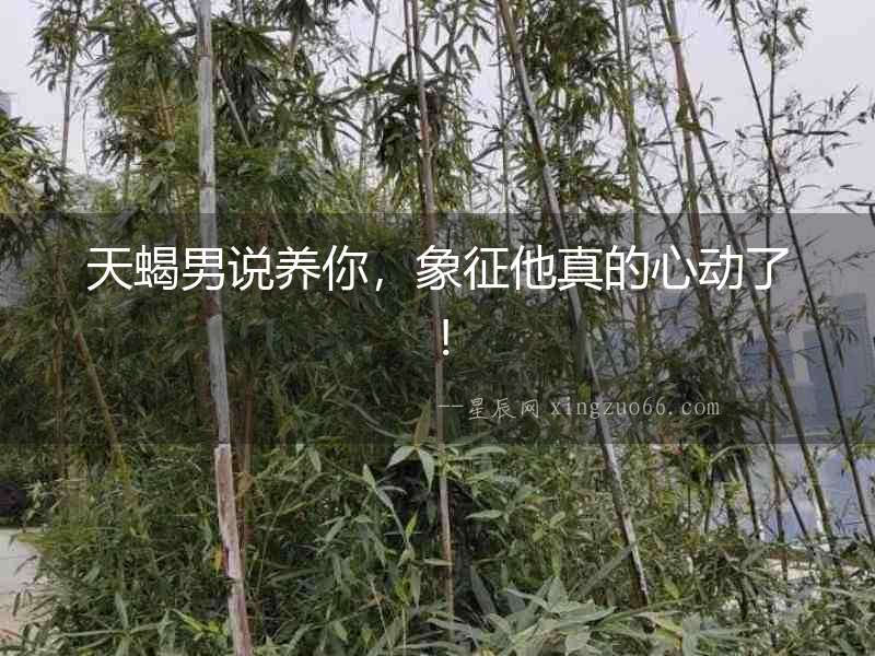 天蝎男說養(yǎng)你，象征他真的心動了！
