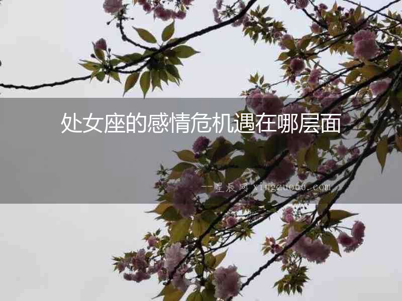 處女座的感情危機遇在哪層面